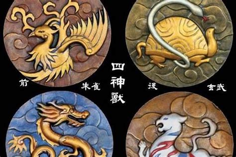 青龍白虎玄武朱雀|「青龍、白虎、朱雀、玄武」四聖獸的來龍去脈